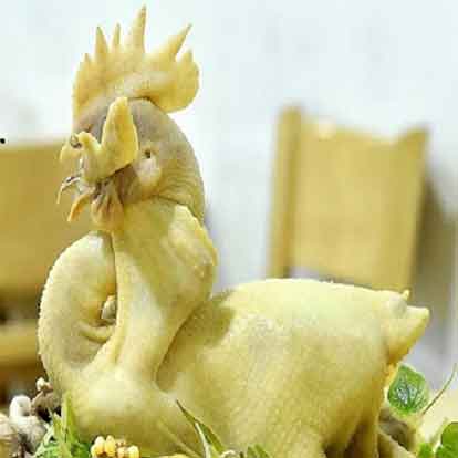 Nhận đặt gà đá