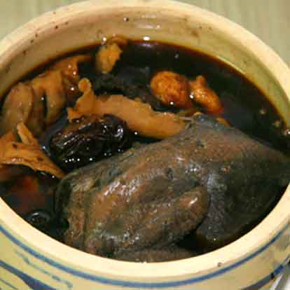 Bồ câu tiềm thuốc bắc