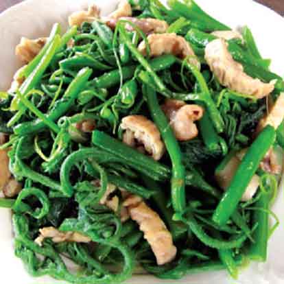 Đọt bí xào, luộc